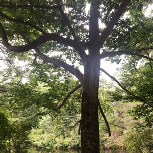 Meet your Posher, Jen